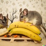 can chinchillas eat bananas?