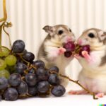 can gerbils eat grapes