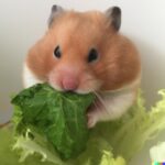 can a hamster eat lettuce ?